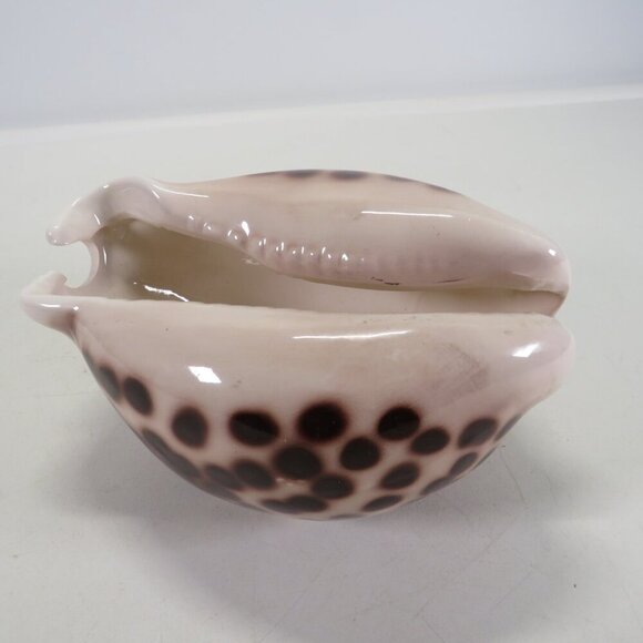 Ceramic Sea Shell Dish - Planter Cowrie Shell Brown Spotted - Picture 6 of 14